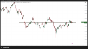 how forex market really works